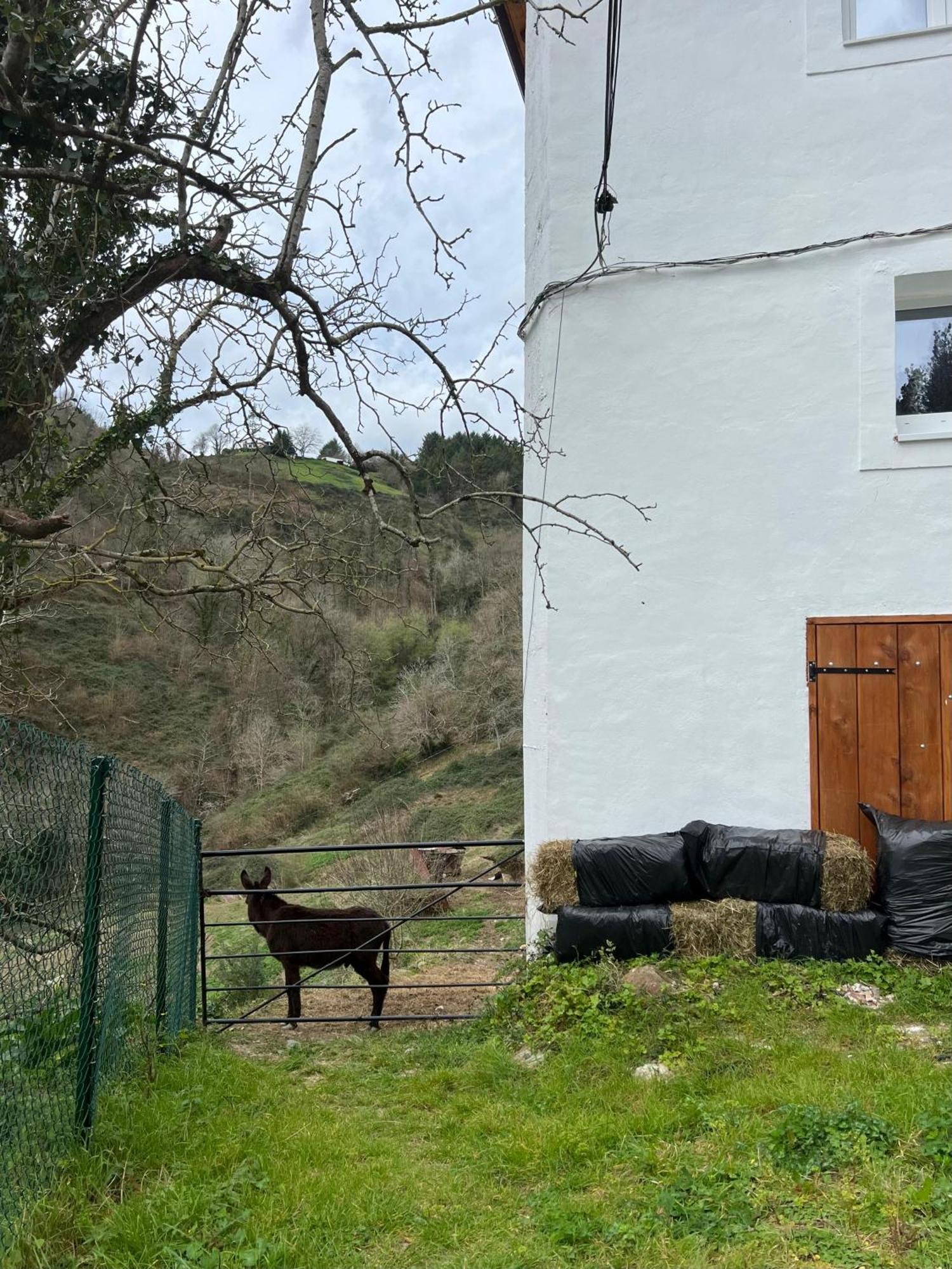 Apartament Fantastico Retiro Rural En El Corazon De Euskadi Elgoibar Zewnętrze zdjęcie